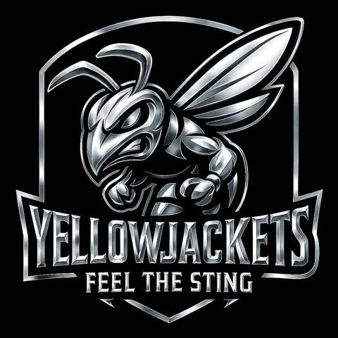 FEEL THE STING (DEMO) album art