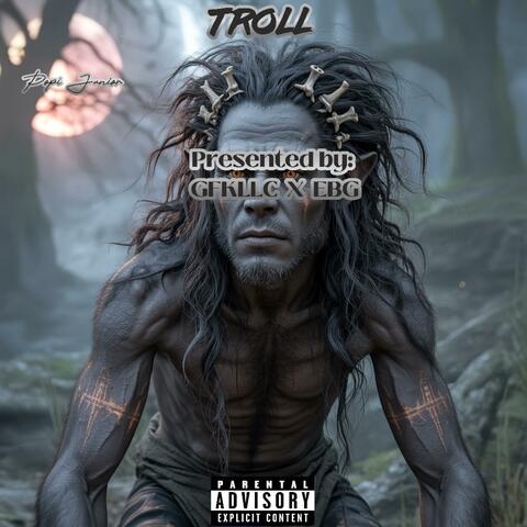 Troll album art