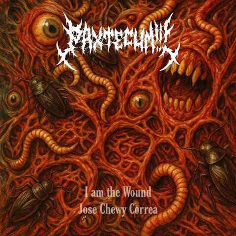 I am the wound album art