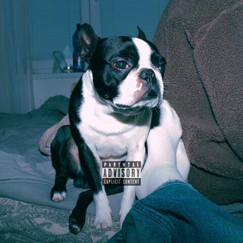 With the Tune album art