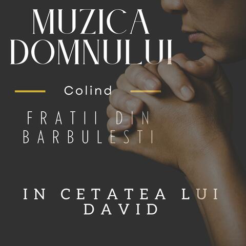 In cetatea lui David (feat. Fratii din Barbulesti) [Colind] album art