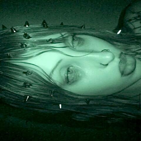 the ugly truth album art