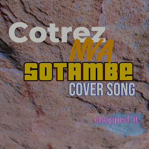 Sotambe cover (feat. Frank ro & yo maps) [Special cover] album art