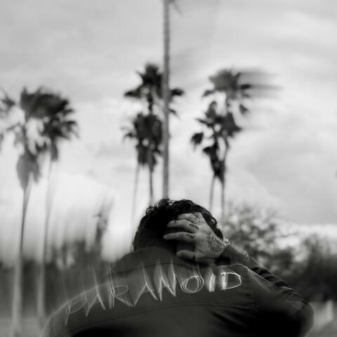 PARANOID album art