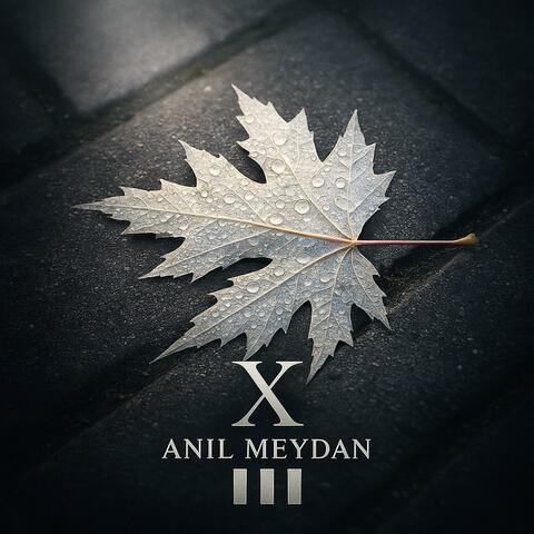 Glass Sarabande (X) album art