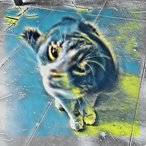 Troublemaker album art