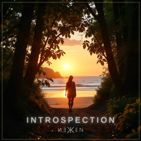 Introspection album art