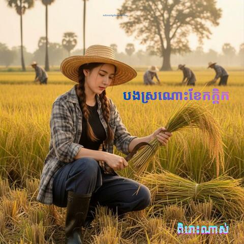 បងស្រណោះខែកក្តិក- យឹង យន album art