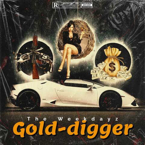 Gold-Digger album art