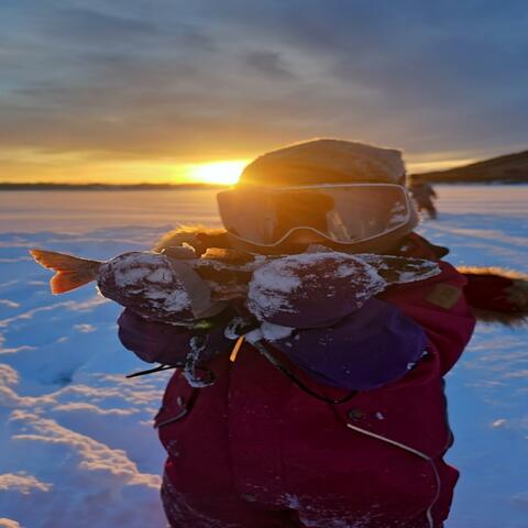 Hopp og trå album art