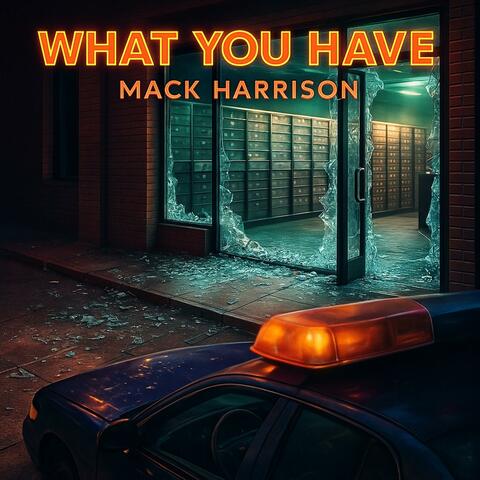 What You Have album art