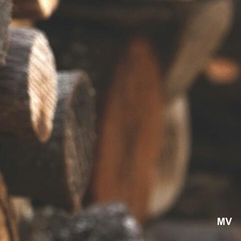 I'll call you when i land album art