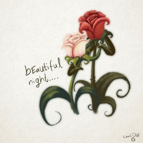 beautiful night album art