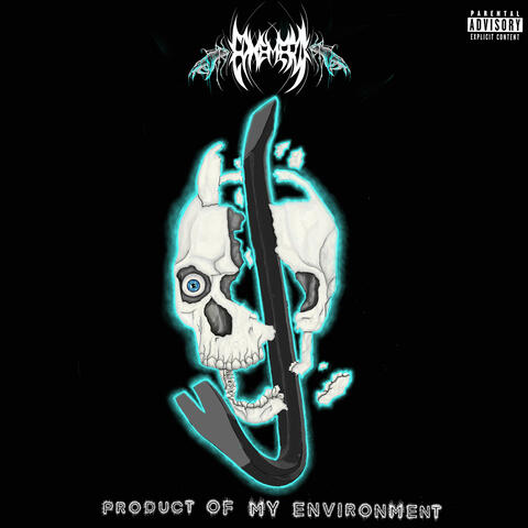 Product of My Environment album art