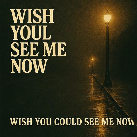 Wish You Could See me now album art