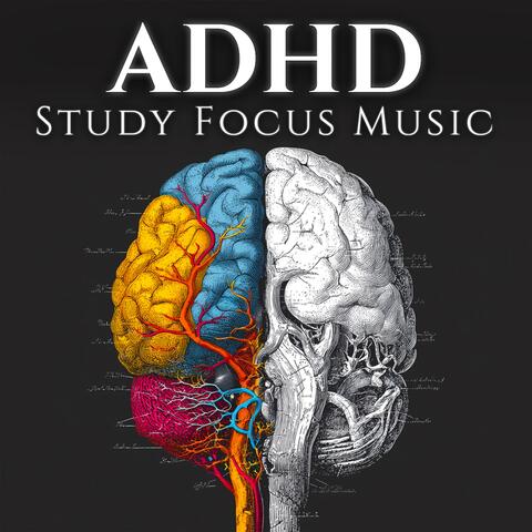 ADHD Study Focus Music album art