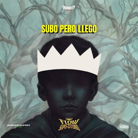 Subo pero llego (Flow Supo-citorio Remix) album art