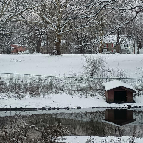 Share Your Sunshine album art