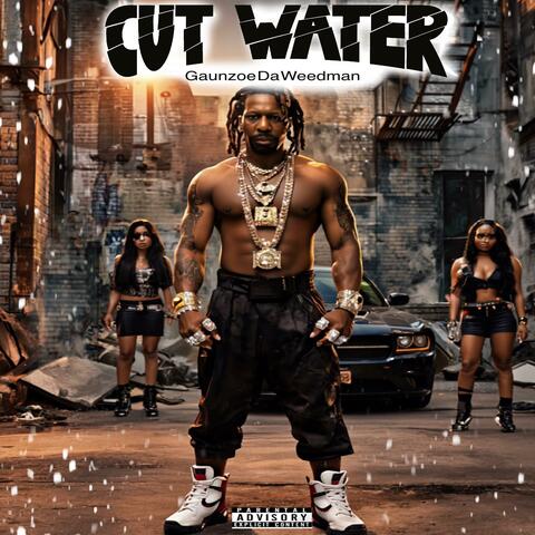 Cut Water album art