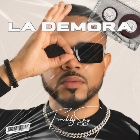 La Demora album art