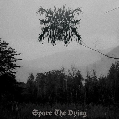 Spare The Dying album art