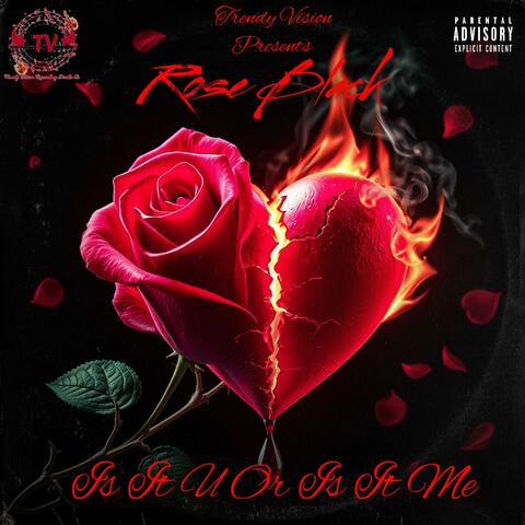 Is It U Or Is It Me album art