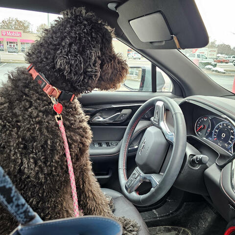 Put a Pin In That album art