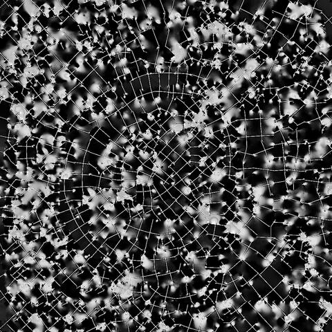 LOST IN THE album art