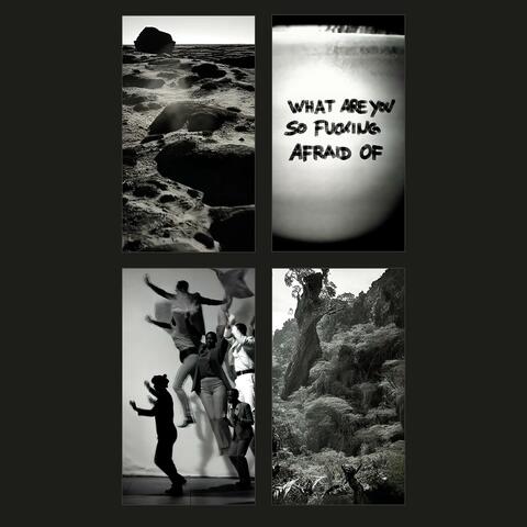 What are you so fucking afraid of album art