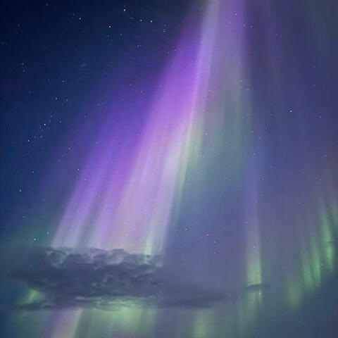 Was It A Dream? album art