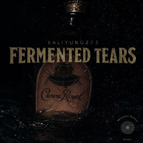 Fermented Tears album art
