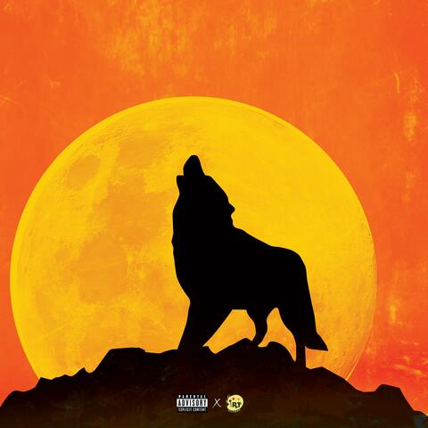 King Dynamics album art