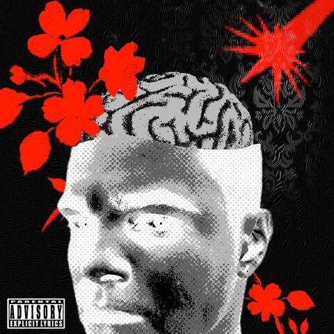 desorbita2 album art