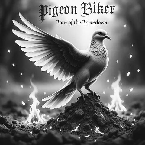 Born of the Breakdown album art