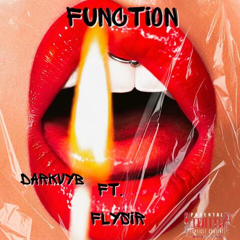 FUNCTION (feat. FlySir) album art