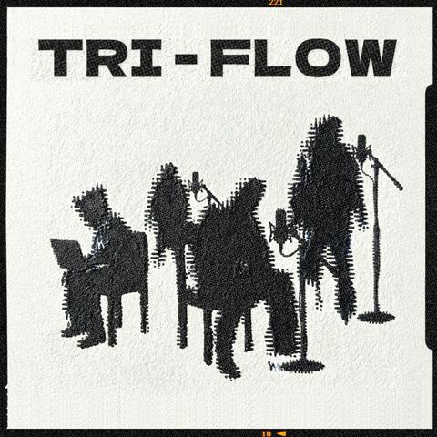 Tri Flow (feat. Groovvy, J4SHAAN, Gurvir & Avneet Singh) album art
