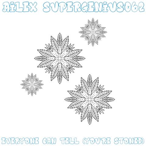 Everyone Can Tell (You're Stoned) album art