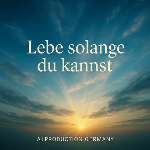 Lebe solange du kannst album art