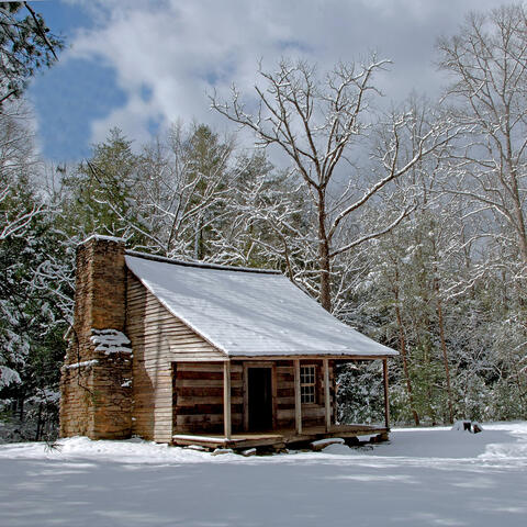 Christmas everyday. album art