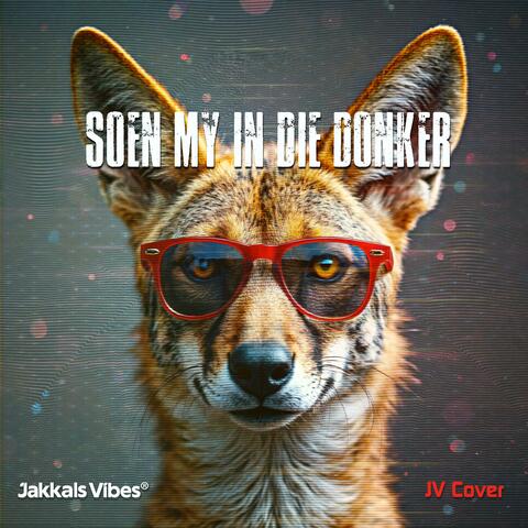 Soen my in donker album art