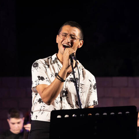 Mystery Lady (feat. Shlomy Alster) album art