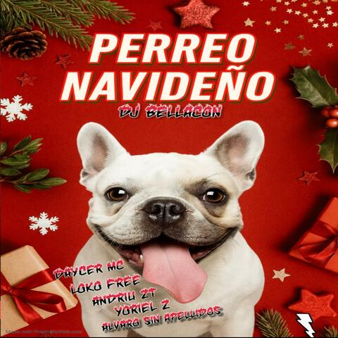 PERREO NAVIDEÑO 2025 (DAYCER MC, LOKO FREE, ANDRIU ZT, YORIEL ZETA, ALVARO SIN APELLIDOS Remix) album art