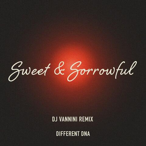 Sweet & Sorrowful DJ Vannini remixes album art