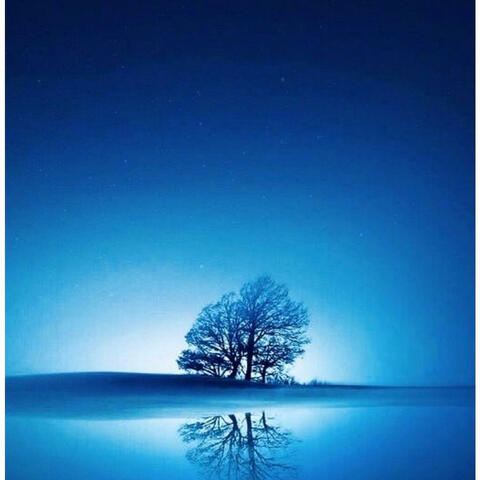 I Apologize album art