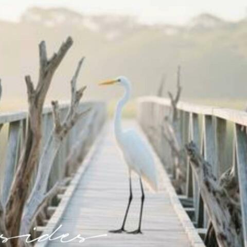 Both Returns album art