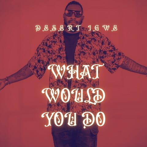 What would you do album art