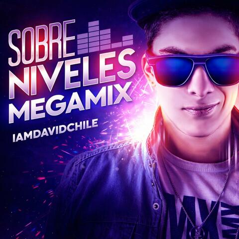 Sobre Niveles Megamix album art
