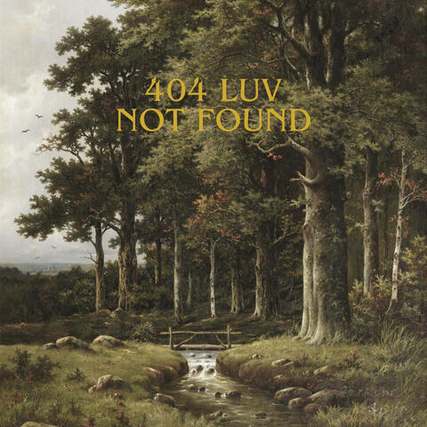 404 LUV NOT FOUND album art