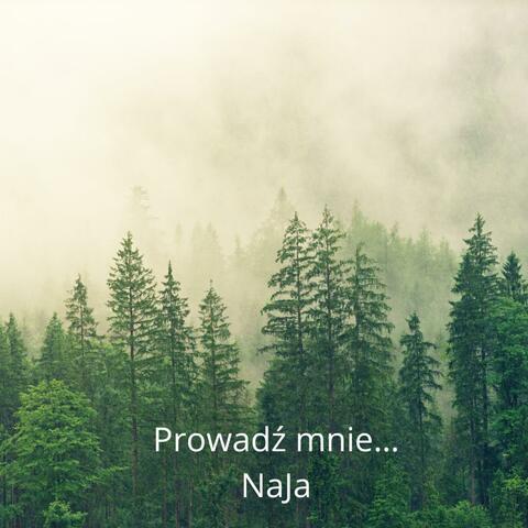 Prowadź mnie album art