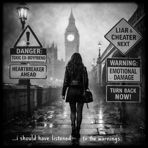 I should have listened to the warnings album art